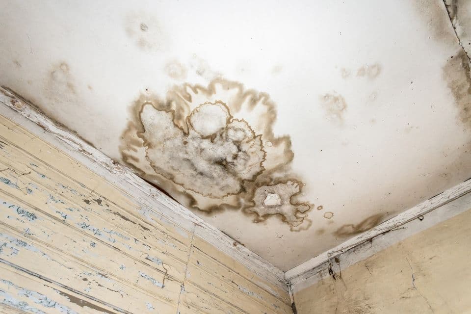 Mold and water damage on a ceiling