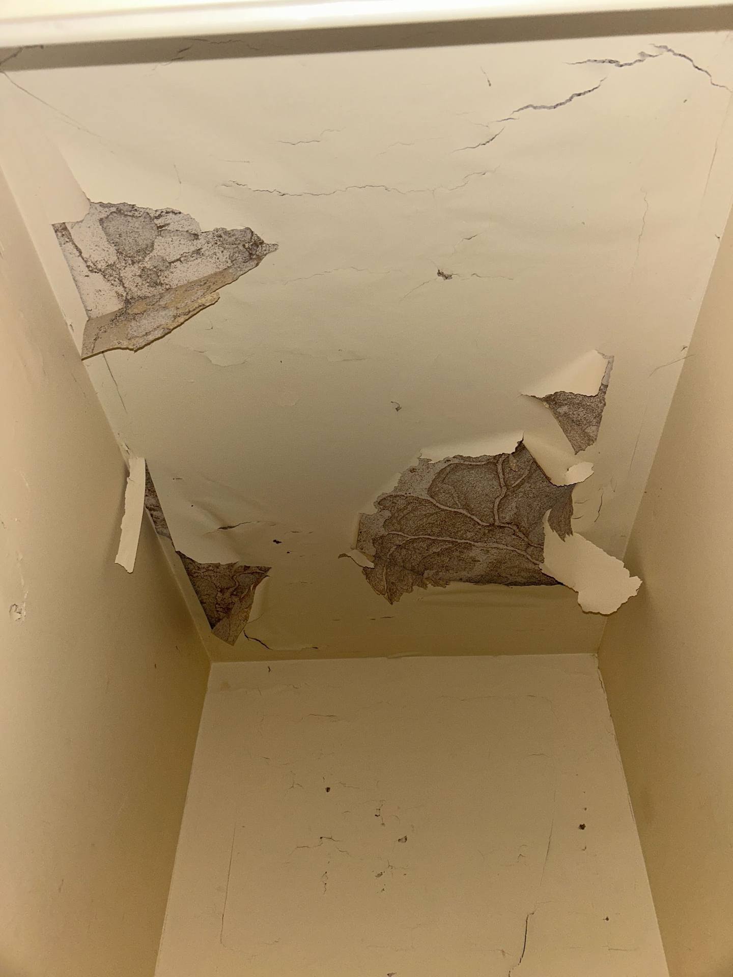 Ceiling drywall peeling away after water damage