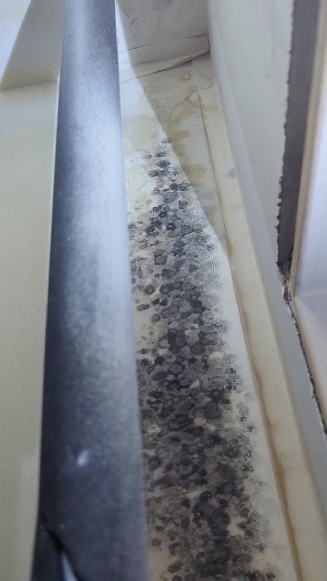 Dark mold spotting found during an inspection